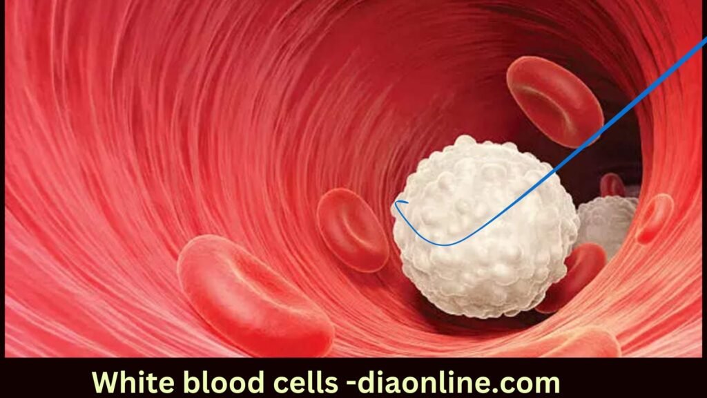 Blood cells protect our health and body 